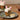 Vanilla Bunny Muffins