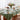 Dining & Entertaining