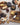 salt&pepper Fromage Paddle
