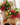 salt&pepper Paige Placemats