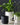salt&pepper Revolve Planter and Token Planters